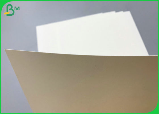 SGS Bersertifikat 230g 260g PE Coated Cupstock Base Paper 850mm Roll
