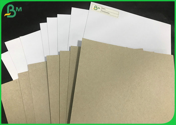 Eco 250gsm 300gsm yang dapat didaur ulang Grey Back gD2 Coated Duplex Paper Board Sheets