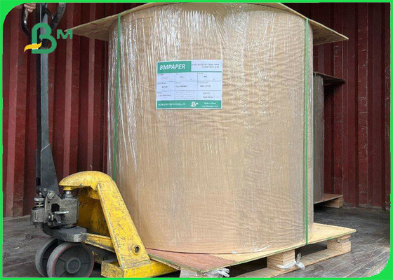 Food Grade 250gsm + 15g PE Dilapisi Kertas Kotak Makan Siang Tahan Minyak 850mm 895mm