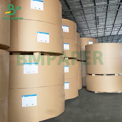 Kotak kemasan makanan tahan lemak Brown Kraft PE Coated Paper Roll