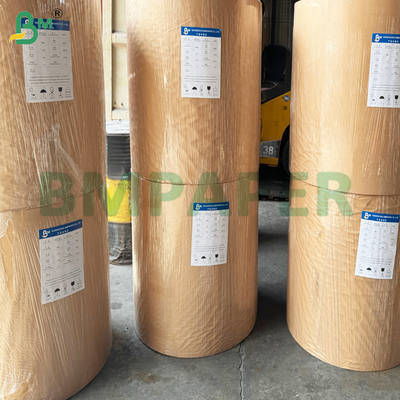 Gulungan Kertas Kraft Berlapis Atas Putih 15gsm untuk Pengemasan Makanan Beku