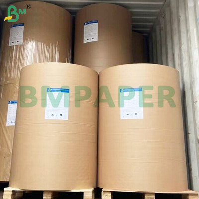 Lembaran Kertas Stok Cangkir PE Lapis Tahan Bocor Ramah Lingkungan