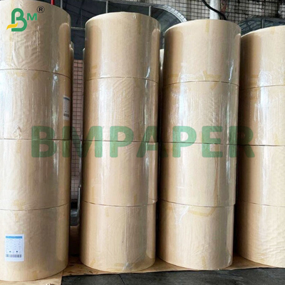 Gulungan Kertas Cup Stock Dilapisi PE 190+10gsm untuk Cangkir Kertas dan Mangkuk