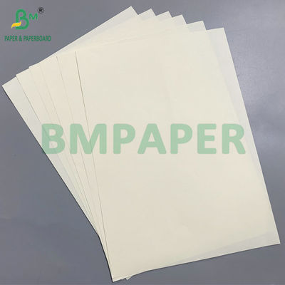 Pulp Kayu Ramah Lingkungan 70g/80g/100g Gading Kertas Tanpa Kayu Ramah Mata