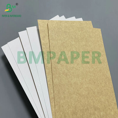 Papan Belakang Kraft Berlapis Food Grade 365gsm (CKB) untuk Kotak Makanan Beku & Kemasan Roti