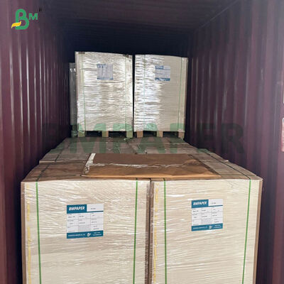 100% Pulp Kayu Perawan 280gsm 300gsm Papan Kertas Kraft Berlapis Putih Untuk Wadah Makanan