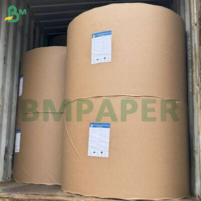 Lembaran Kertas Dasar Cangkir Anti Bocor Berlapis 190gsm+10gsm untuk Minuman