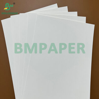 200gm Eco-Friendly Raw Absorbent Coaster Base Paper Blotting Paper untuk pembuatan Beer Mat & Cup Mat