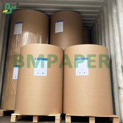 250gm+10gm PE Lapisan kertas berlapis base cup untuk membuat kertas cup