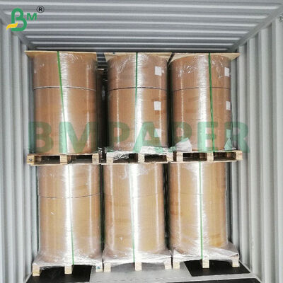 55gm High Strength Kraft Liner Paper Rolls untuk membuat kantong buah