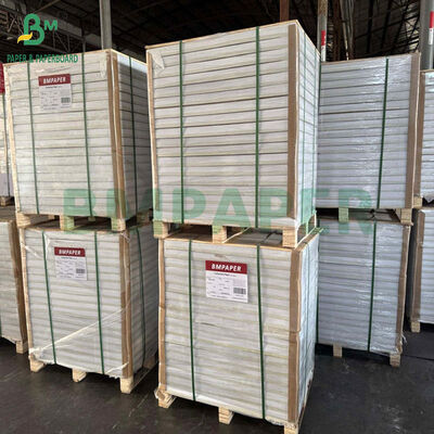 1.6mm 1.7mm 1.8mm Kertas Penyerap Murni Pulp Kayu Putih untuk Cangkir Tatakan 66 x 106cm